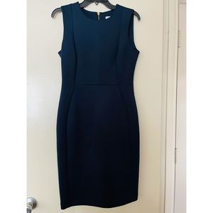 Calvin Klein Dress.